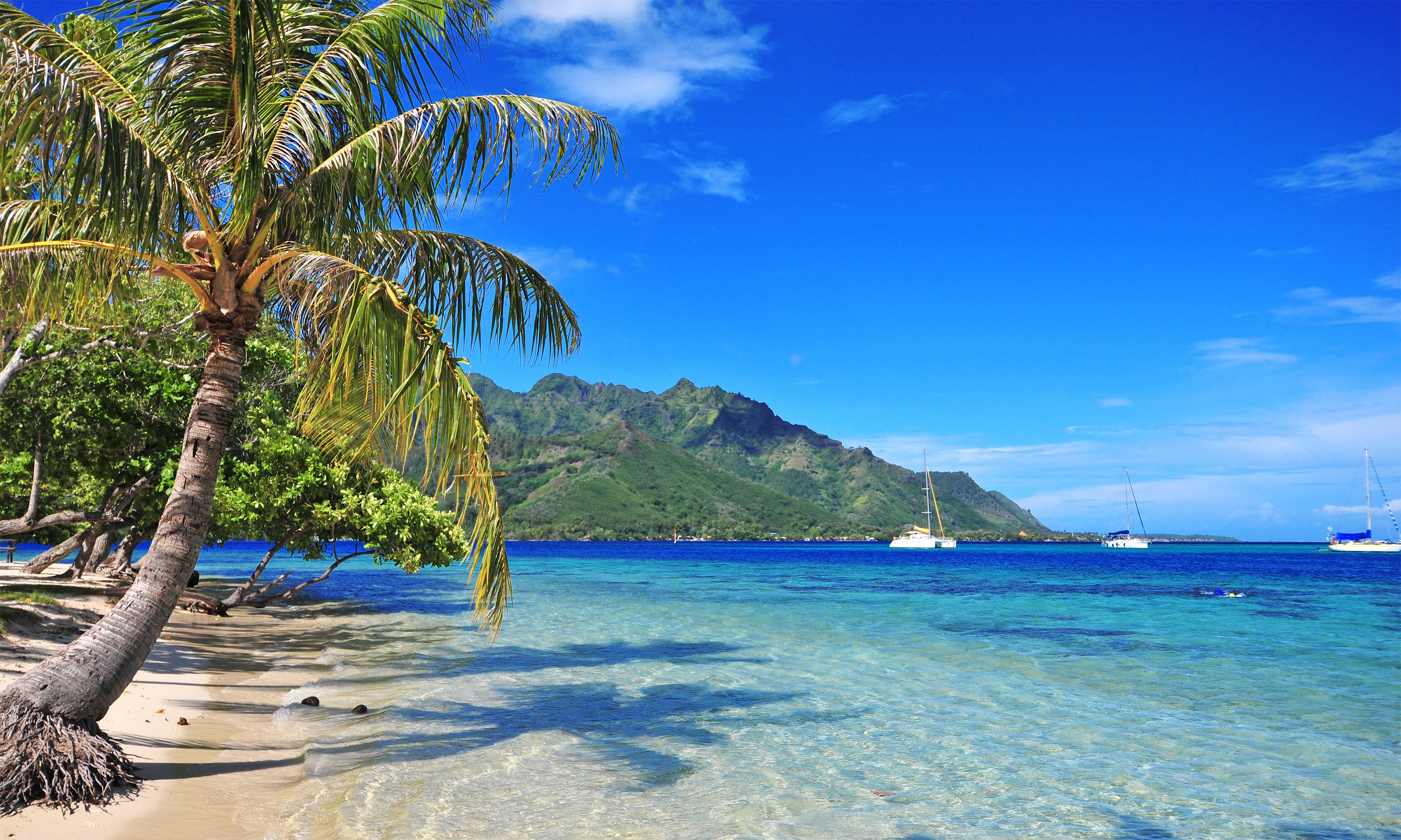 Tropical Aitutaki & Raratonga Escape